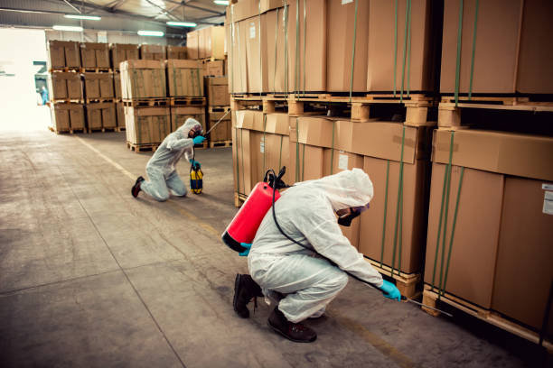 Best Exterminator Services  in Villisca, IA