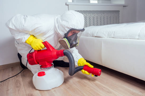 Professional Pest Control in Villisca, IA