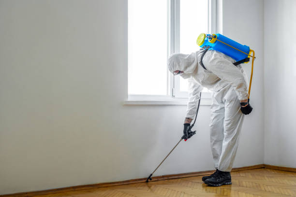Best Pest Control for Homes  in Villisca, IA