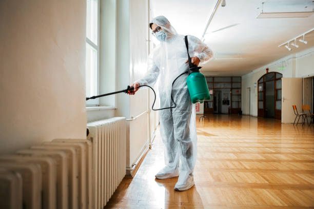 Best Flea Control Services  in Villisca, IA