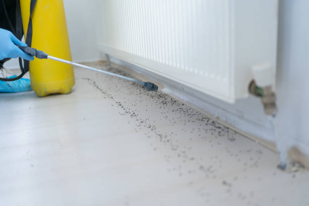 Best Best Pest Control Companies  in Villisca, IA