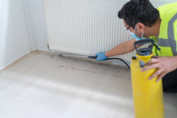 Best Affordable Pest Control Services  in Villisca, IA