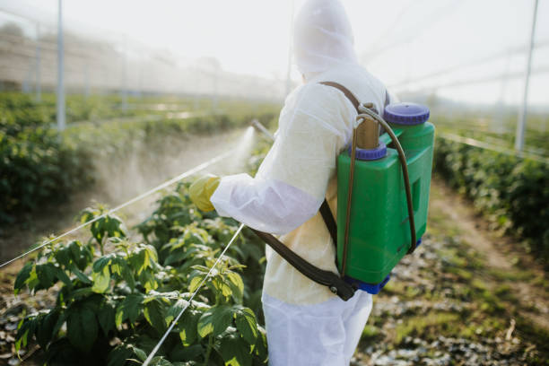 Best Local Pest Control Services  in Villisca, IA